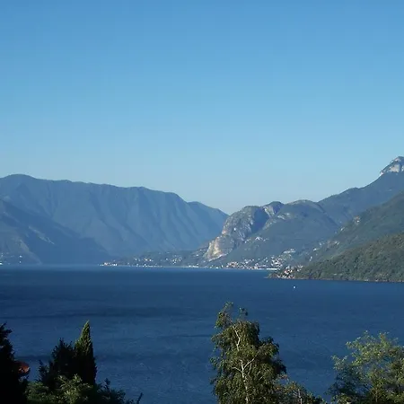 公寓式酒店 Mimosa 4*