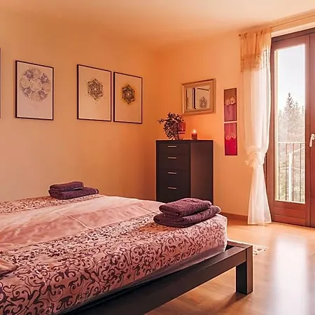 Mimosa Aparthotel
