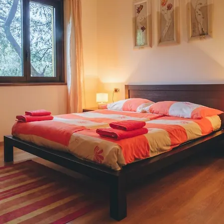 Mimosa Aparthotel