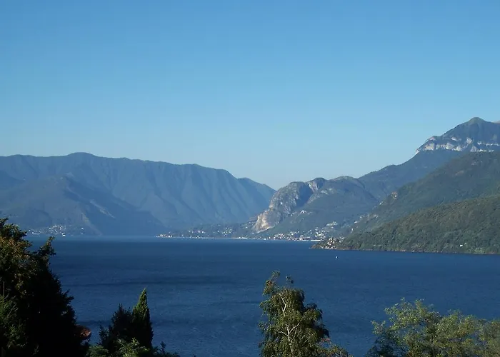 Aparthotel Mimosa 4*