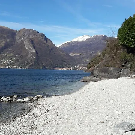 Mimosa Апарт-отель 4*