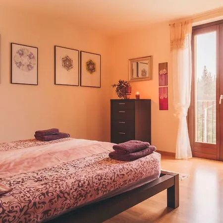 Mimosa 4* Колико